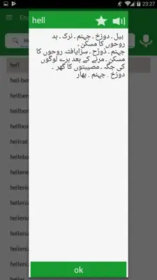 Urdu Eng Urdu Dictionary android App screenshot 2