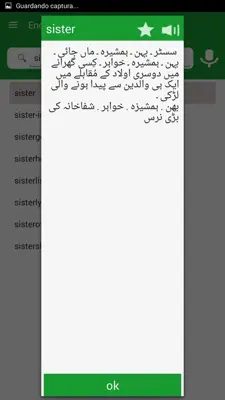 Urdu Eng Urdu Dictionary android App screenshot 4